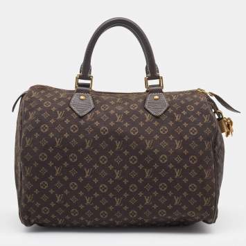 Pre Owned Louis Vuitton Fusain Monogram Mini Lin Canvas Speedy 30 Bag