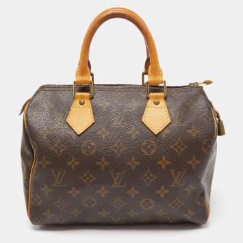 Pre Owned Louis Vuitton Monogram Canvas Speedy 25 Bag