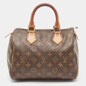 Pre Owned Louis Vuitton Monogram Canvas Speedy 25 Bag