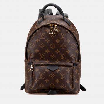 Louis Vuitton Monogram Palm Springs PM