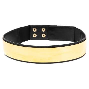 Pre Owned Stella McCartney Black Faux Leather Gold Tone Metal Plate Waist Belt 70CM