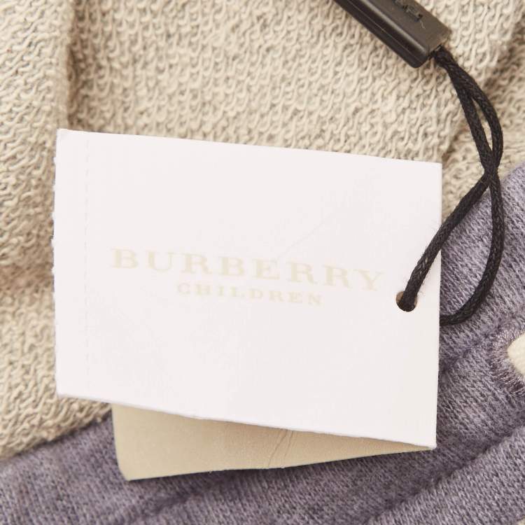 Pre Owned Burberry Kids Grey Printed Cotton Knit Shorts 8 Yrs