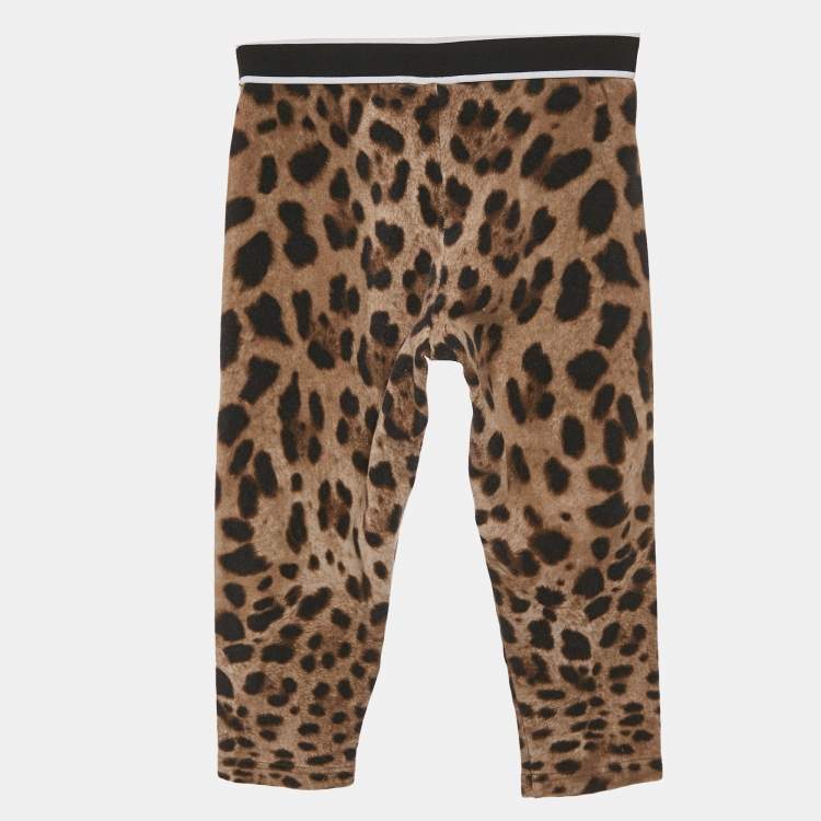 Pre Owned Dolce & Gabbana Brown Leopard Print Cotton Knit Leggings 18-24 M