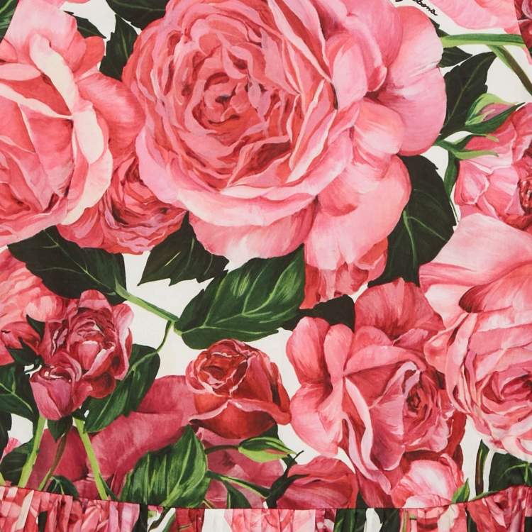 Pre Owned Dolce & Gabbana Kids Pink Floral Print Poplin Dress 4Yrs