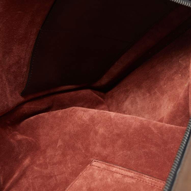 Pre Owned Berluti Brown Ombre Leather Alessandro Backpack
