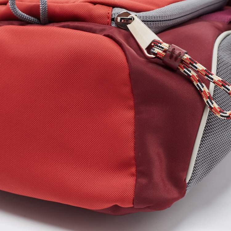 Pre Owned Burberry Multicolor Nylon Leo Sling Bag
