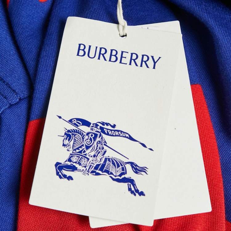 Pre Owned Burberry Blue Swan Print Cotton Crew Neck T-Shirt S