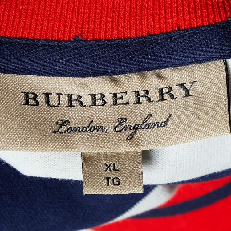 Pre Owned Burberry Blue Striped Cotton Knit Crewneck T-Shirt XL