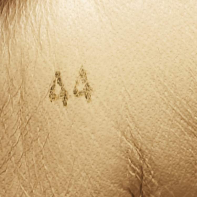 Pre Owned Christian Louboutin Multicolor Printed Leather and Denim Louis High Sneakers Size 44