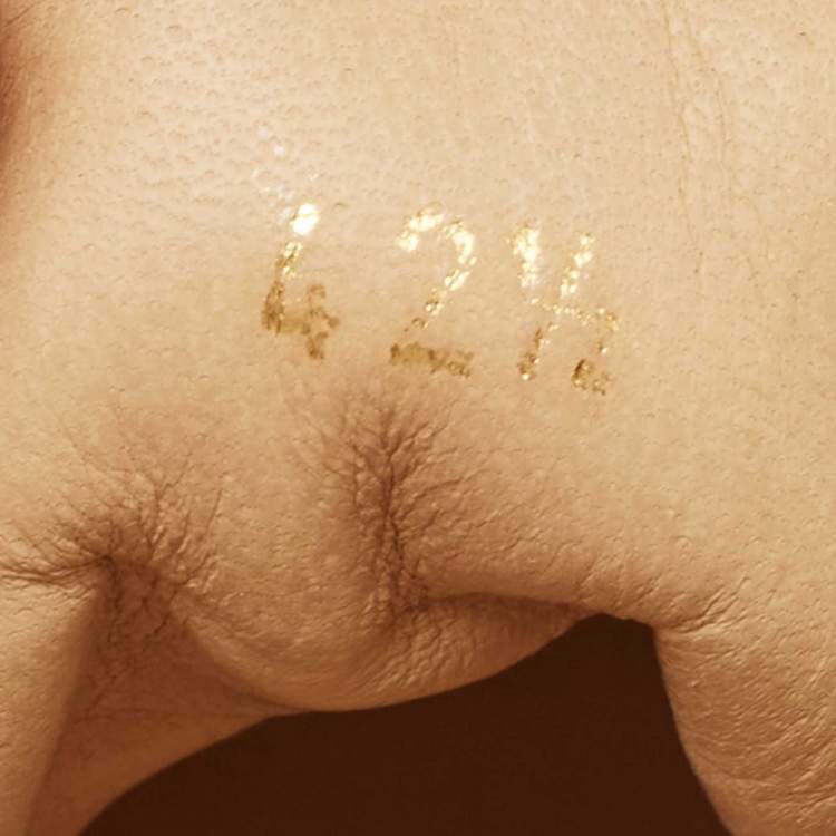 Pre Owned Christian Louboutin Black/Brown Leather and Suede Laser Cut High Top Sneakers Size 42.5