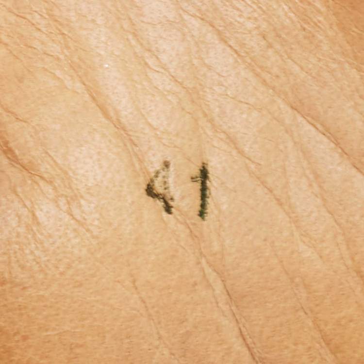 Pre Owned Christian Louboutin Orange Suede Lou Spikes Sneakers Size 41