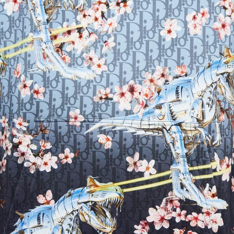Pre Owned Dior Homme X Sorayama Blue Printed Cotton Knit Hoodie L