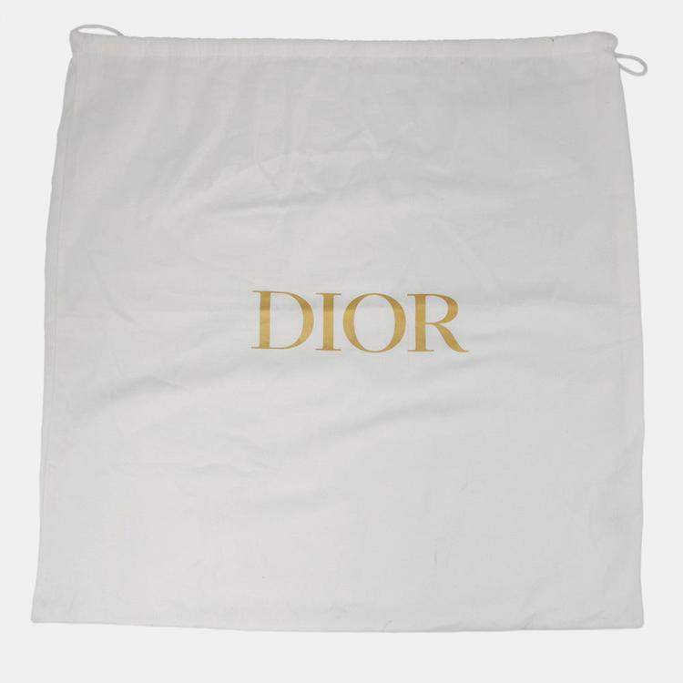 Pre Owned Dior Cobra Backpack Khaki/Beige Nylon Mesh