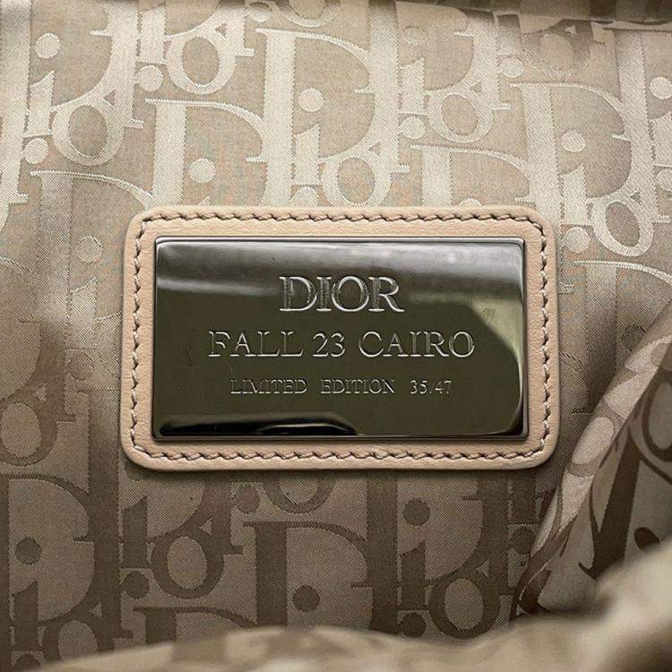 Pre Owned Dior Cobra Backpack Khaki/Beige Nylon Mesh