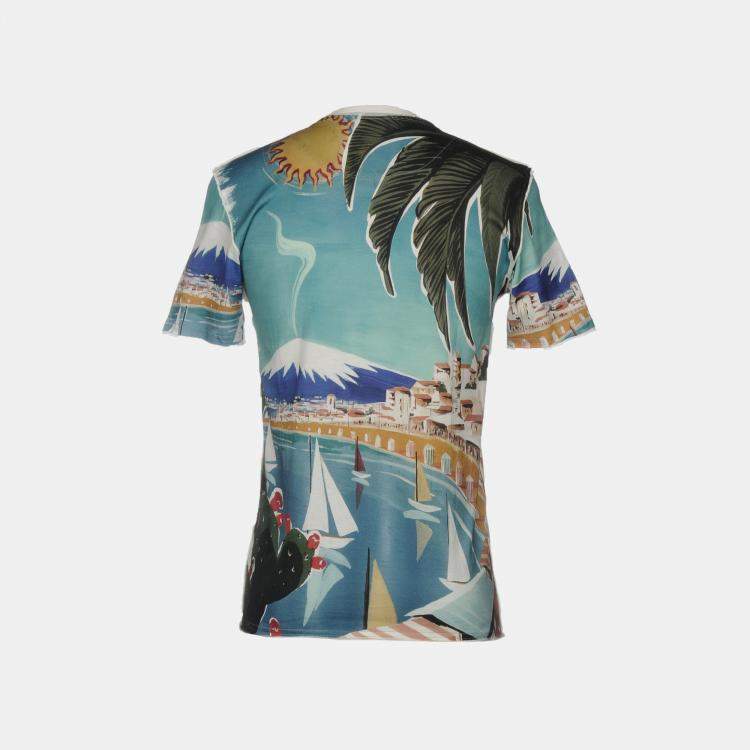 Pre Owned Dolce & Gabbana Teal Blue Catania Print Cotton T-Shirt S (IT 46)