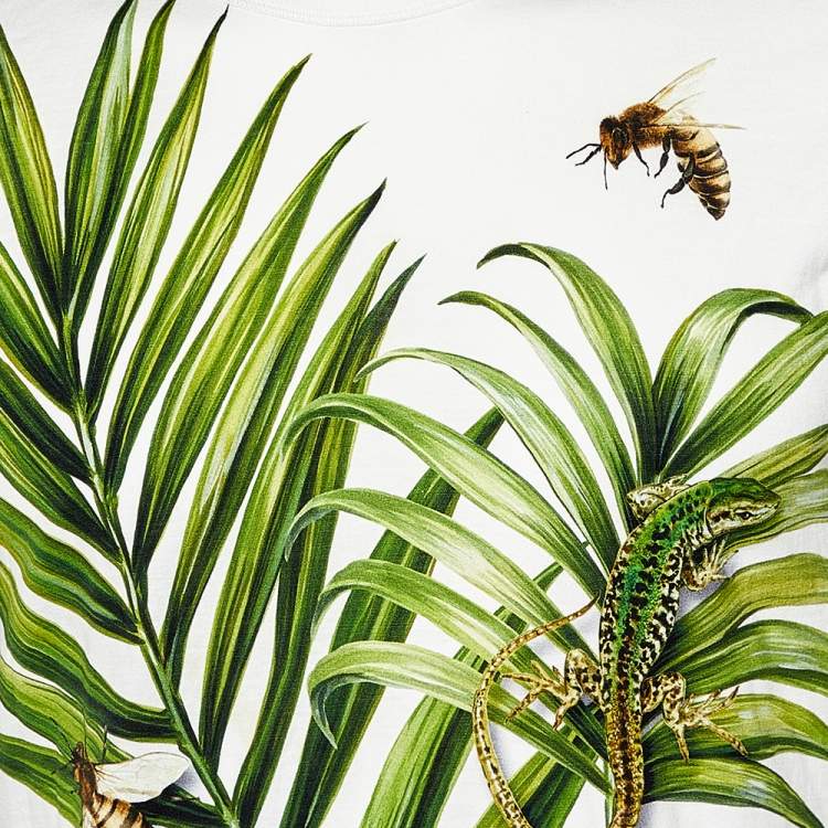 Pre Owned Dolce & Gabbana White Palermo Tropical Printed Cotton Crewneck T-Shirt M