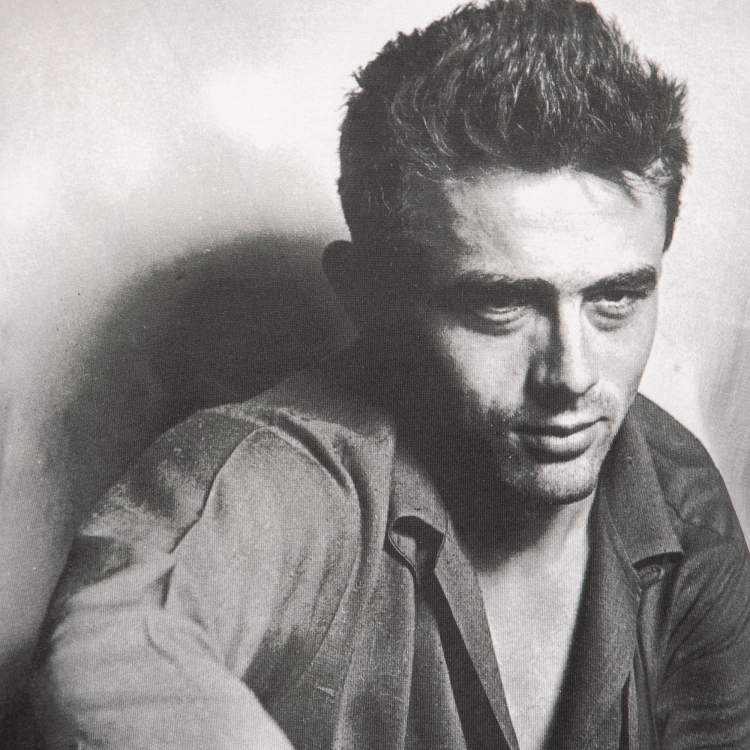 Pre Owned Dolce & Gabbana Grey Cotton James Dean Printed Short Sleeve T-Shirt XL