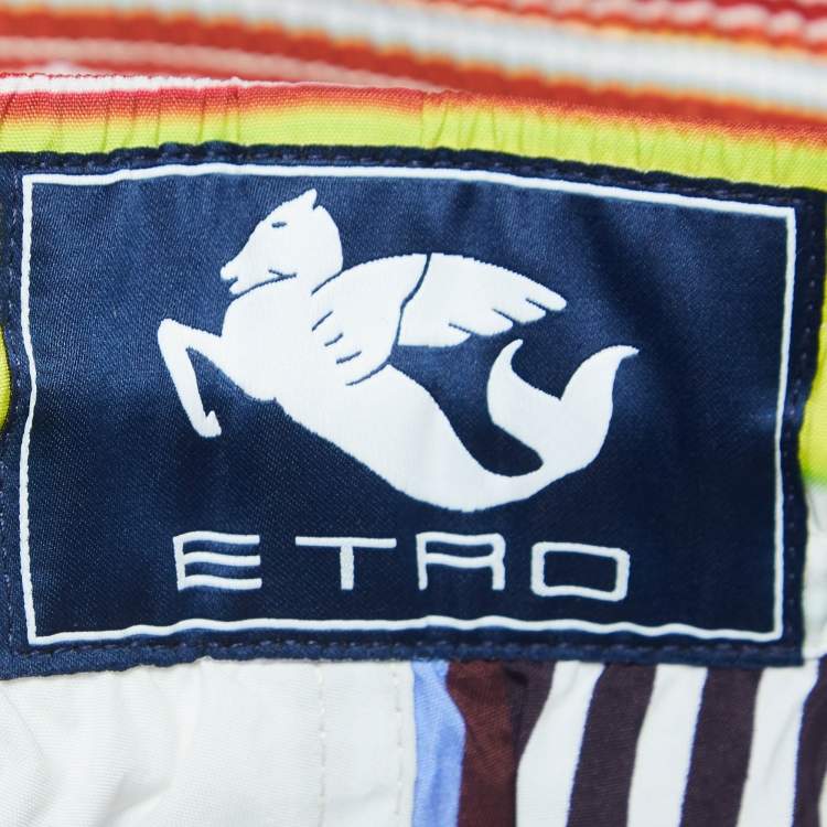 Pre Owned Etro Multicolor Striped Print Nylon Swim Shorts M
