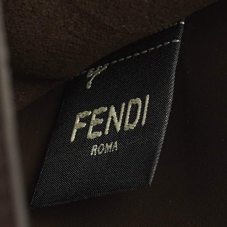 Pre Owned Fendi Logo Brown/Beige Leather and Python Flat Pouch