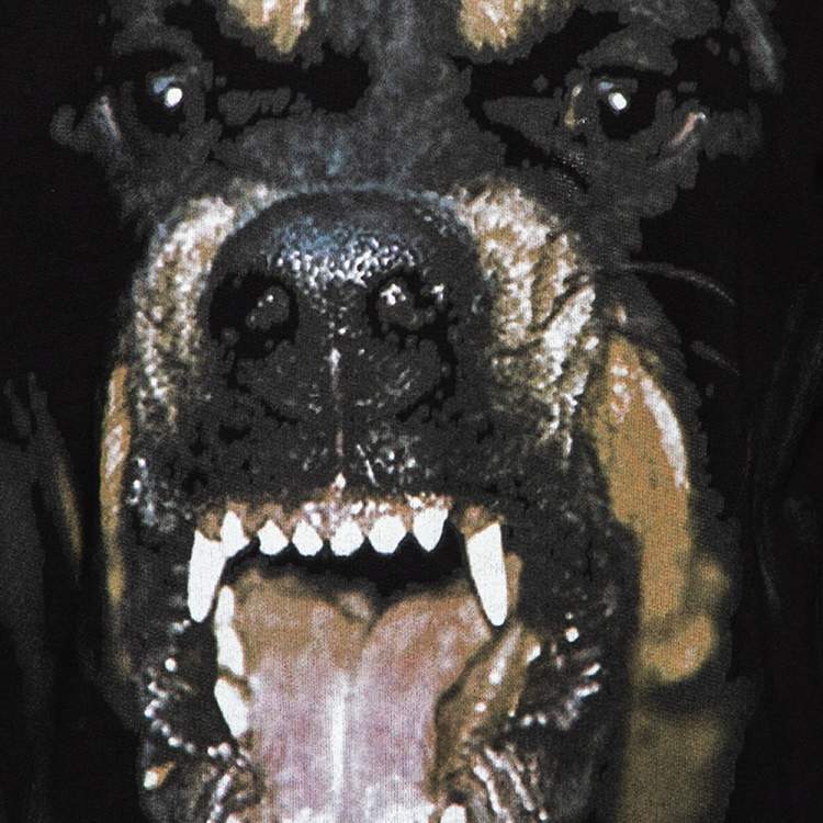 Pre Owned Givenchy Black Cotton Rottweiler Print Crew Neck Sweatshirt S