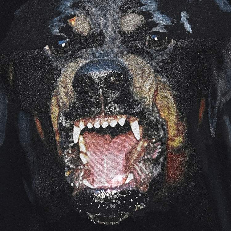 مملوكة مسبقًا Givenchy Black Rottweiler Star Printed Cotton Crewneck T-Shirt XXS