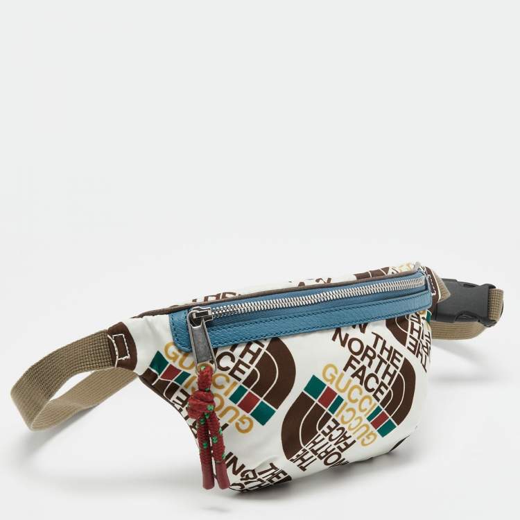 Pre Owned Gucci x The North Face Multicolor Print Nylon Belt Bag