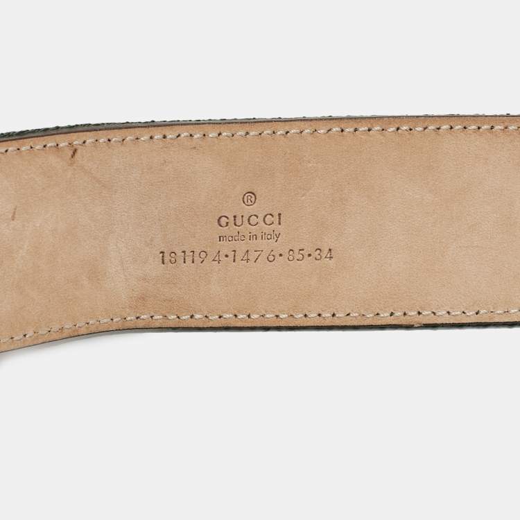Pre Owned Gucci Brown Web Canvas and Leather Hysteria Round Buckle Belt 85CM