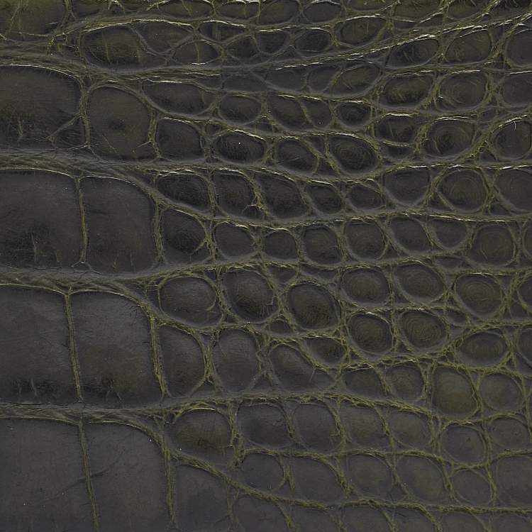 مملوكة مسبقًا Gucci Green Crocodile Bifold Compact Wallet