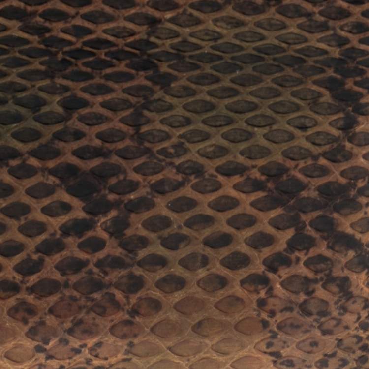 Pre Owned Gucci Multicolor Python Bifold Wallet