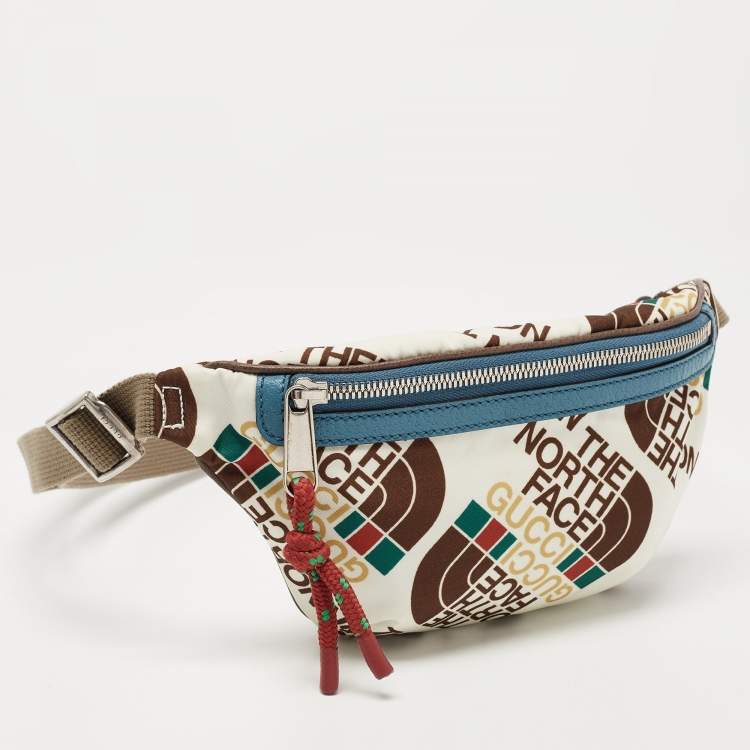 Pre Owned Gucci x The North Face Multicolor Print Nylon Belt Bag