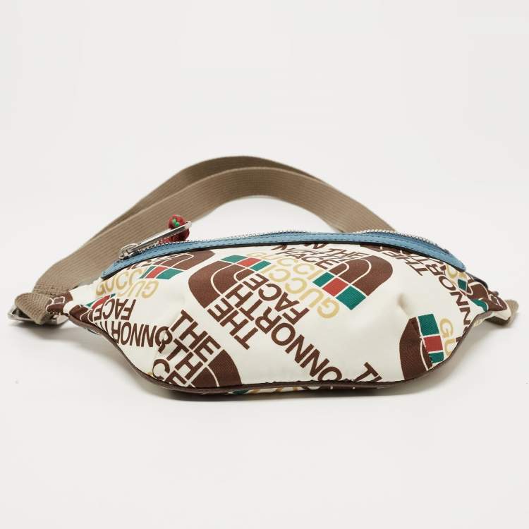 Pre Owned Gucci x The North Face Multicolor Print Nylon Belt Bag