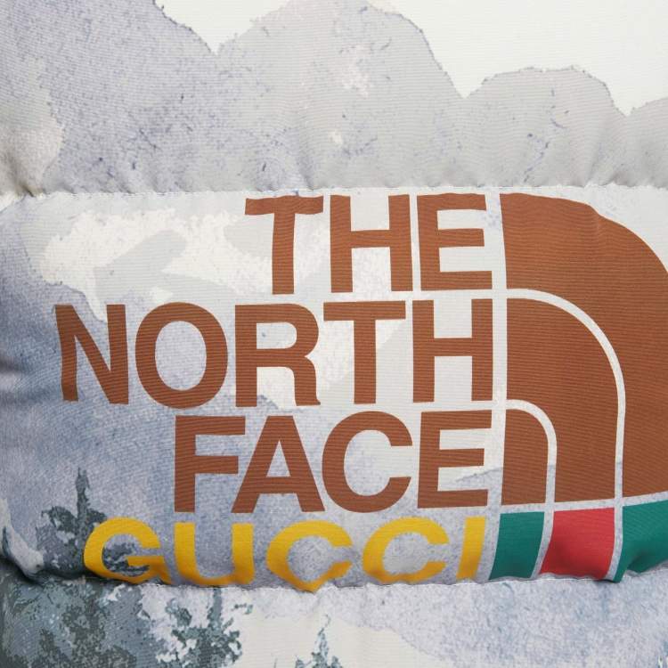 Pre Owned جاكيت تزلج مطبوع بني داون غوتشي وذا نورث فيس مقاس متوسط