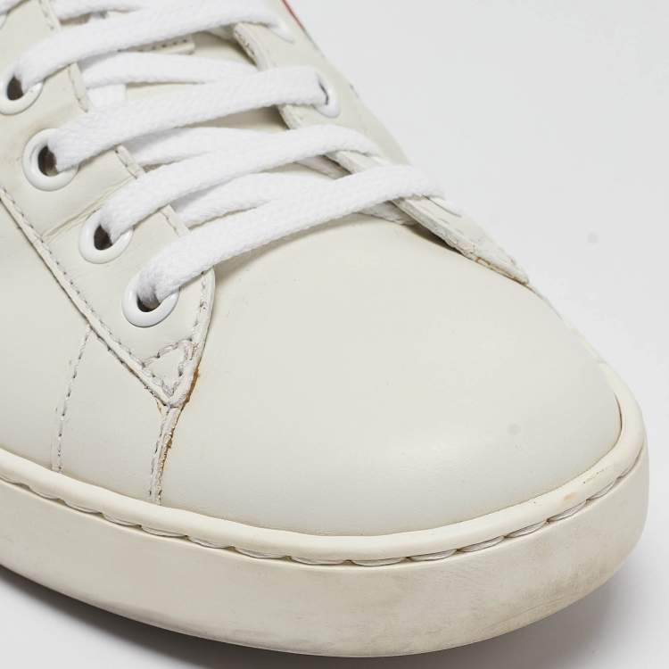 مملوكة مسبقًا Gucci White Leather Embroidered Bee Ace Sneakers Size 40