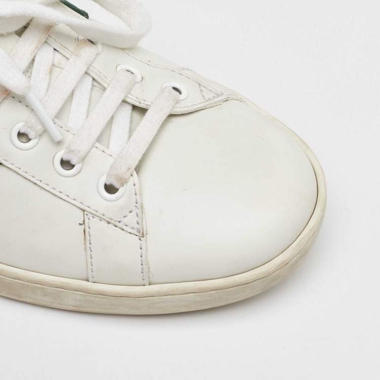 مملوكة مسبقًا Gucci White Leather Embroidered Bee Web Ace Low Top Sneakers Size 42