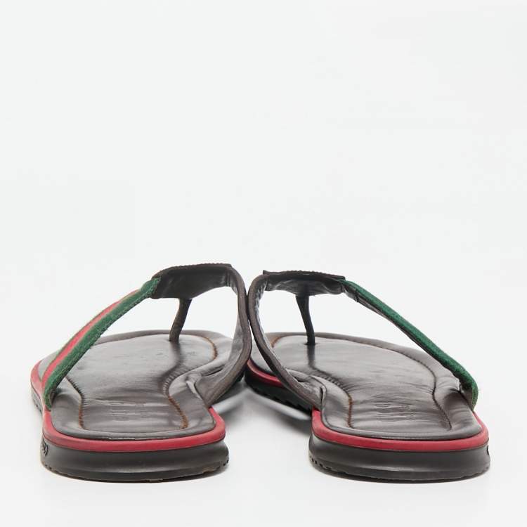 Pre Owned Gucci Brown Micro Guccissima Leather Web Thong Flip Flop Sandals Size 44.5