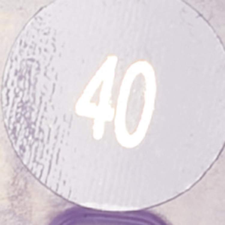 Pre Owned Gucci Purple Rubber Fishermen Flat Sandals Size 40