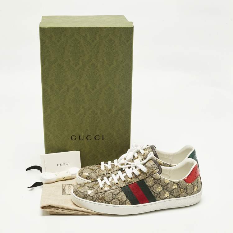 مملوكة مسبقًا Gucci Ace Size 43 Brown Coated Canvas Lace Up Sneakers