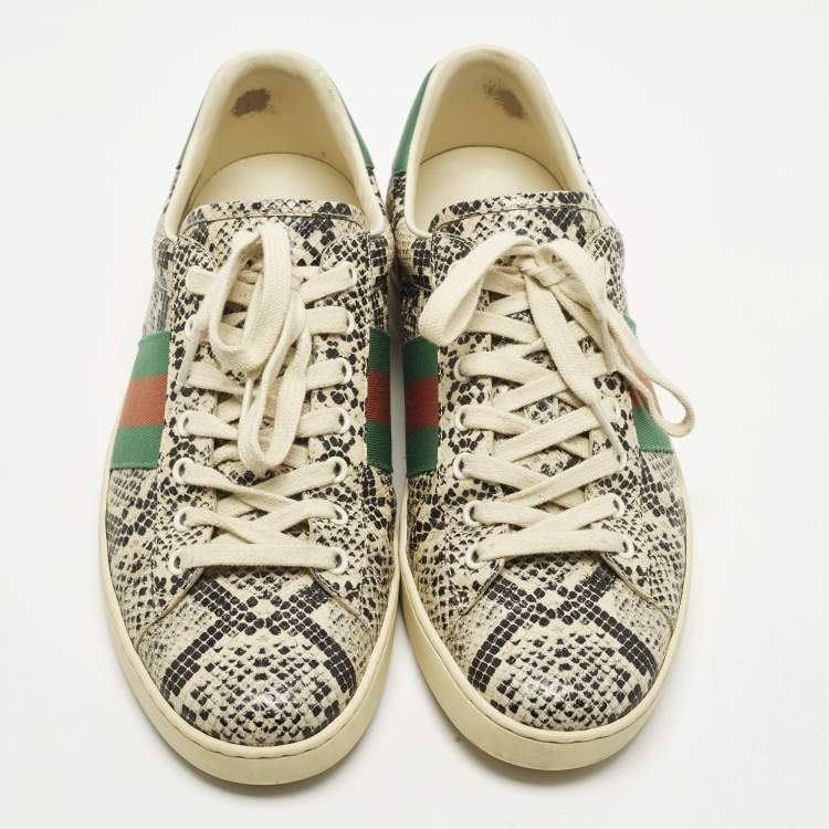 مملوكة مسبقًا Gucci Ace Size 43 Cream Python Embossed Leather Lace Up Sneakers