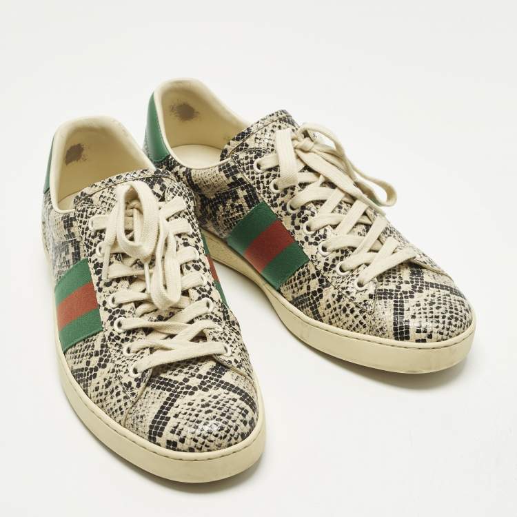 مملوكة مسبقًا Gucci Ace Size 43 Cream Python Embossed Leather Lace Up Sneakers