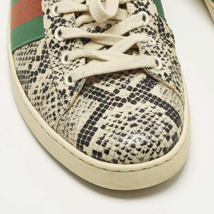 مملوكة مسبقًا Gucci Ace Size 43 Cream Python Embossed Leather Lace Up Sneakers