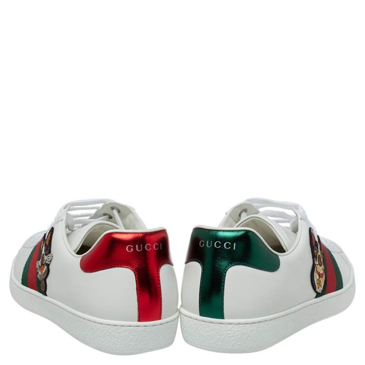 gucci dog sneakers