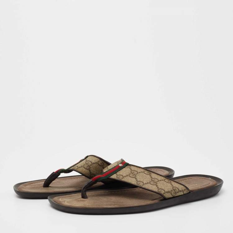 Gucci Women's GG Thong Web Sandal - Brown - Flat Sandals - 7