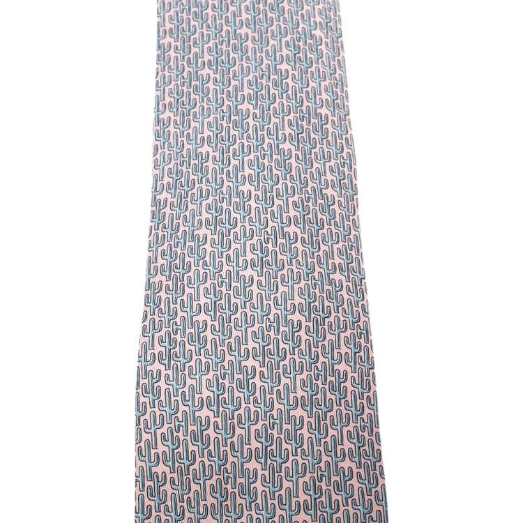 hermes cactus tie