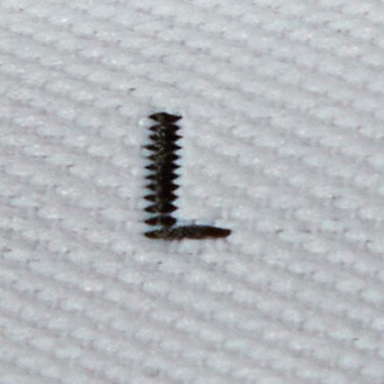 Pre Owned Loewe White Anagram Pixel Embroidered Cotton Crew Neck T-Shirt L