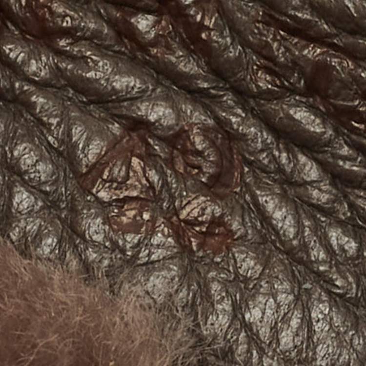 Pre Owned Loro Piana Dark Brown Leather Open Walk Ankle Boots Size 42