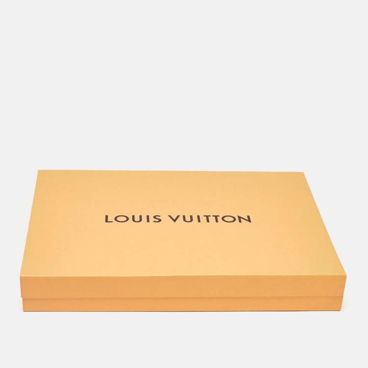 Pre Owned Louis Vuitton Grey Cashmere Jhelam Scarf