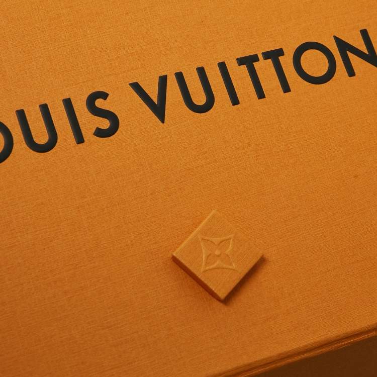Pre Owned Louis Vuitton Blue Logo Monogram Printed Polyamide Mesh Insert Swim Shorts L