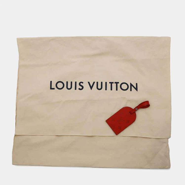 Pre Owned Louis Vuitton Red Leather Christopher Epi Xl MM Backpack