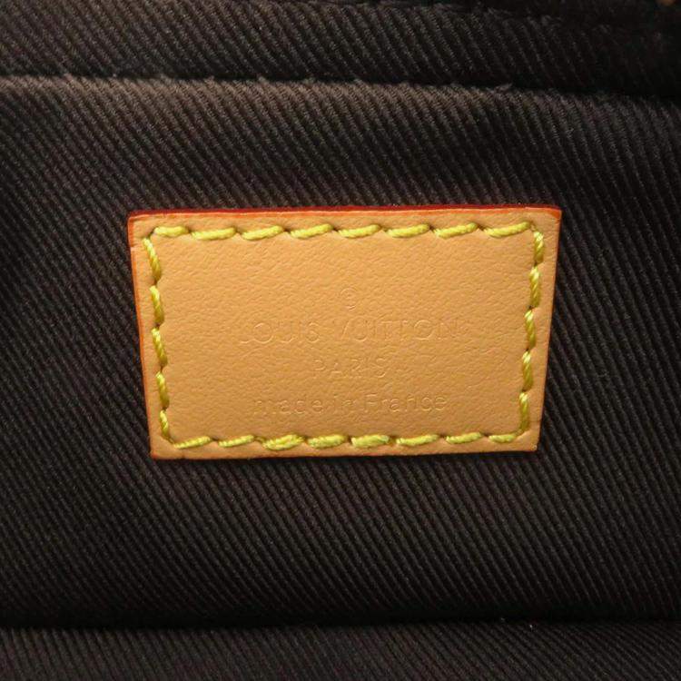 Pre Owned Louis Vuitton Dog on Strap Brown Monogram Canvas Crossbody Bag