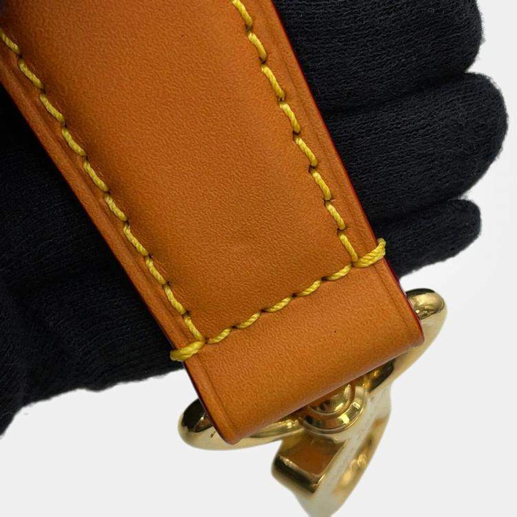 Pre Owned Louis Vuitton Nile Brown Monogram Archive